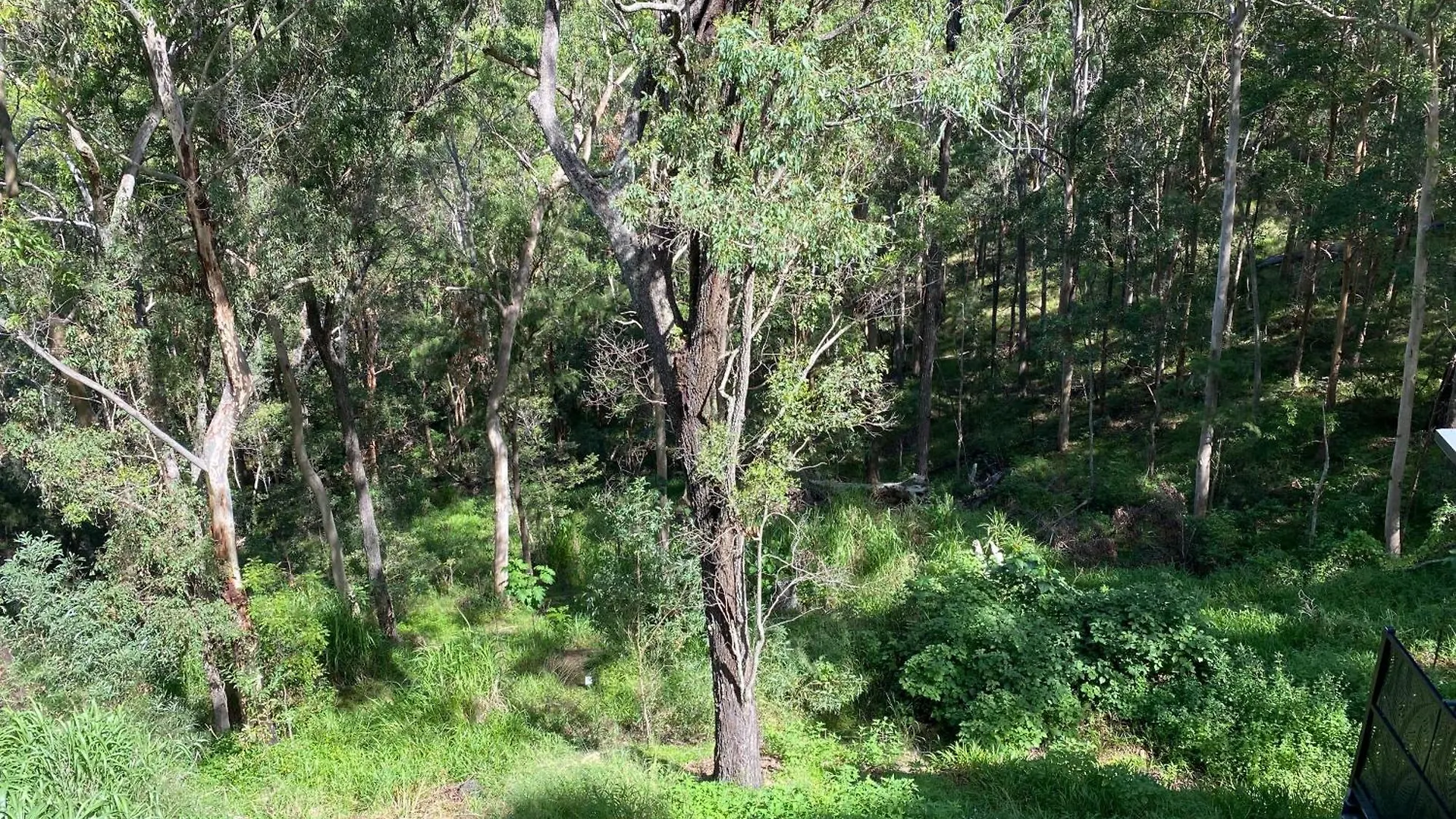 424 Trees Tiny Home Tallebudgera 0*,  Australia